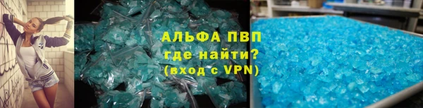 ECSTASY Алзамай