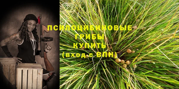 apvp Алексин