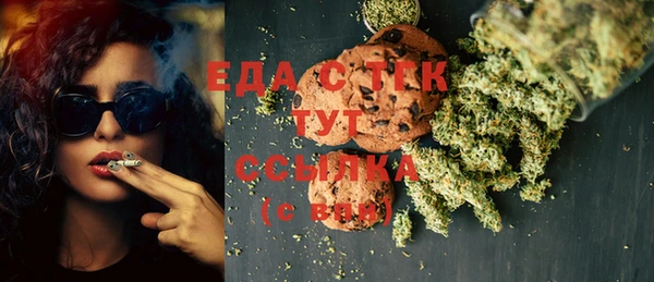 ECSTASY Алзамай