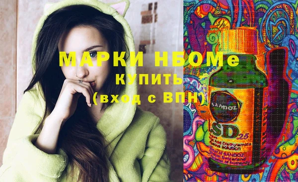 ECSTASY Алзамай