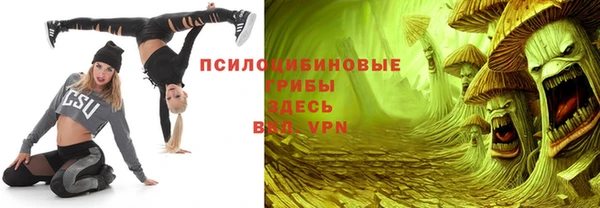 apvp Алексин