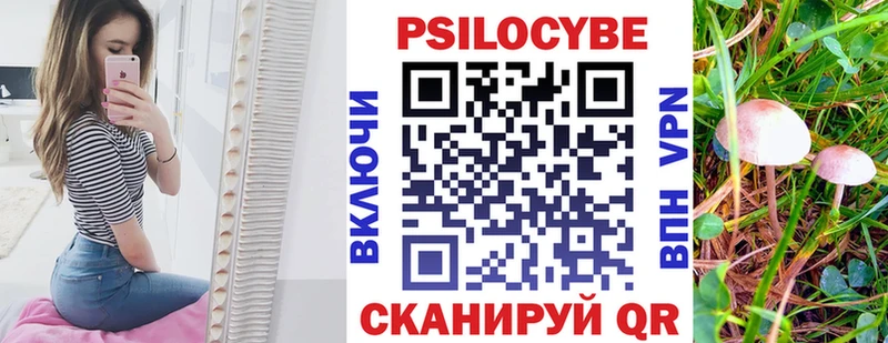 Галлюциногенные грибы Cubensis  darknet телеграм  Задонск 
